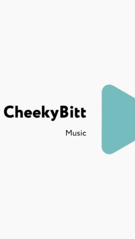 Paul Van Dyk - For An Angel (CheekyBitt remix)