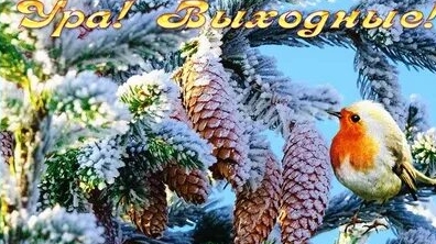 Ура ! Воскресенье!