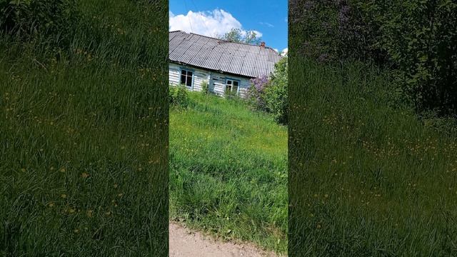 П. Сосновка ( сев. Урал). 15.06.22.