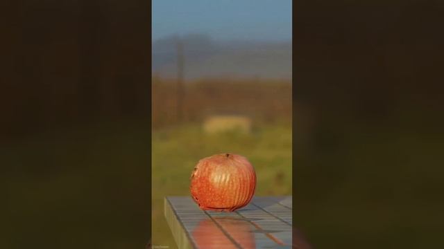 Маленькая пуля уничтожает яблоко! Также действует и грех.