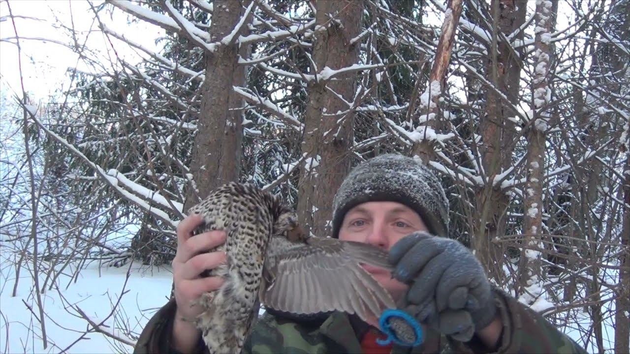 солонец на зайца охота на рябчика