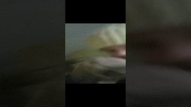 1000009547.mp4