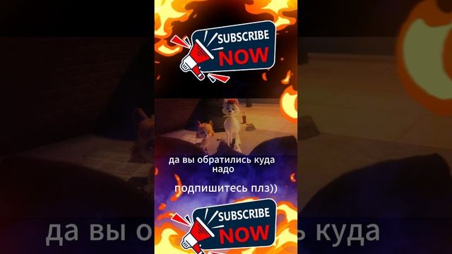 Мультфильм 200% волк  волк качёк