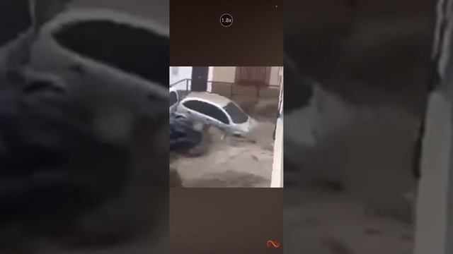 1000019614.mp4