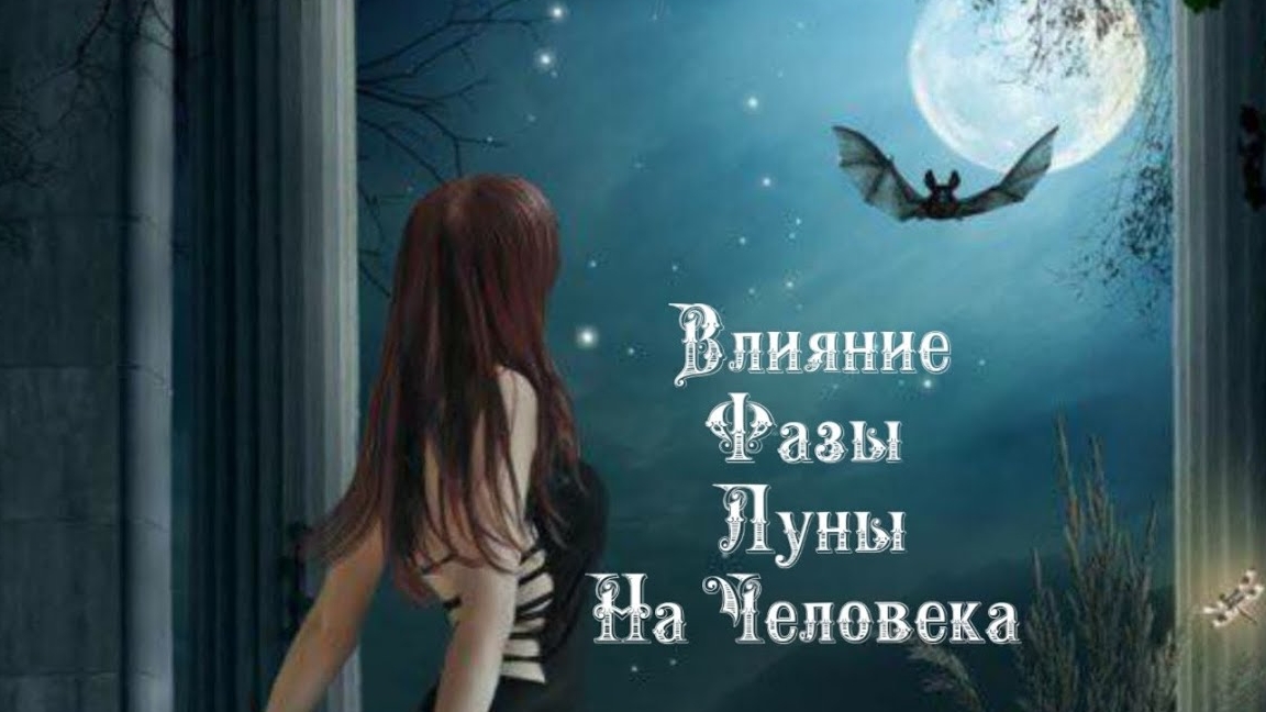 Влияние Фазы Луны на человека 7️⃣ декабря 2️⃣0️⃣2️⃣4️⃣ 🌒🌓🌔🌕🌖🌗🌘🌙🌛🌜🌝