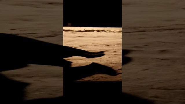 VID_20241203_180152.3gp