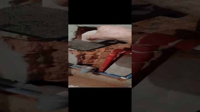 1000010839.mp4