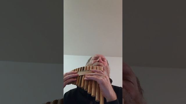1000006328.mp4