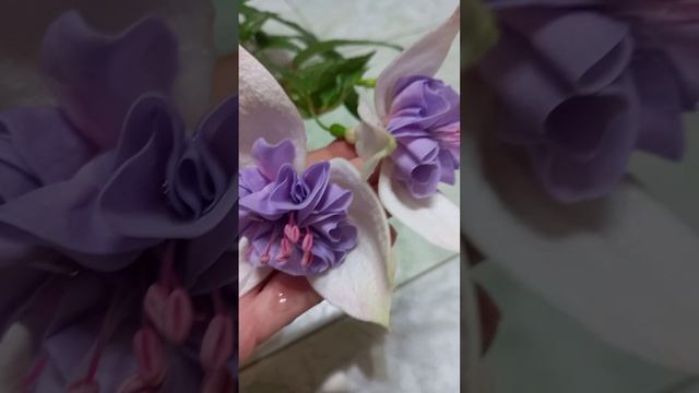 Фуксия Голубой Ангел😇💗