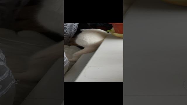Соня привет 👋