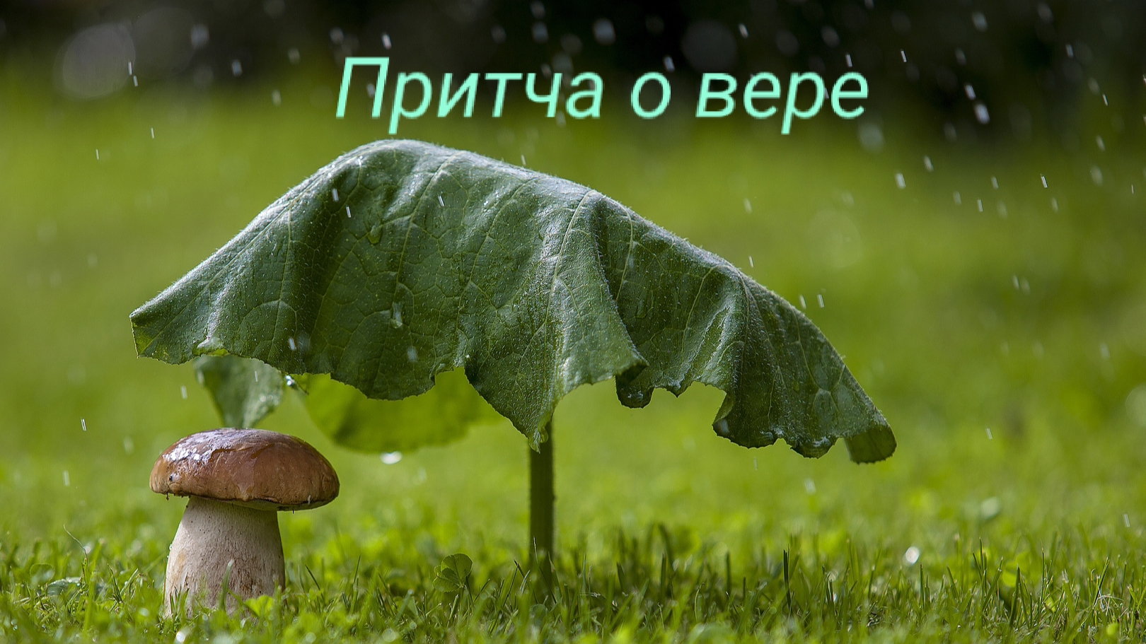 Ответы на твои вопросы 💕