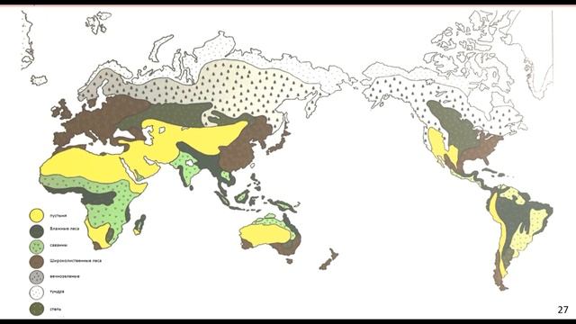 ГЕОГРАФИЯ: распространение растительности. Климатические зоны мира и их растения. Урок для детей