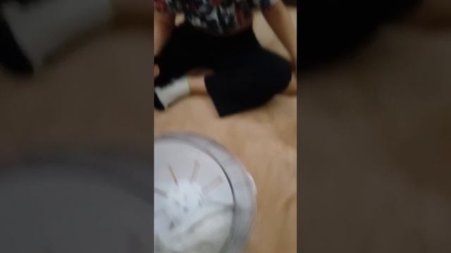 пранки над катей хомяками