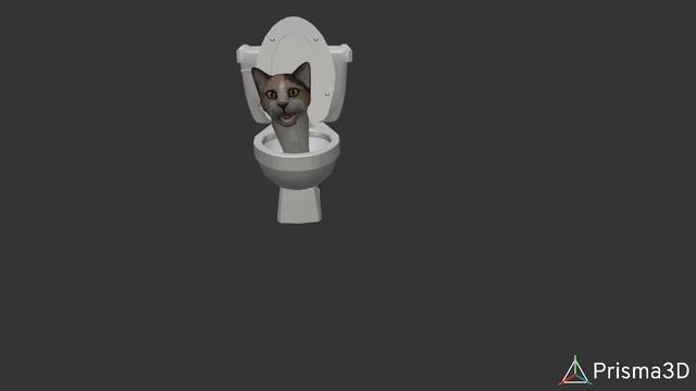 skibidi cat3d1