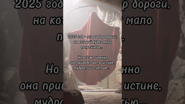 2025 год