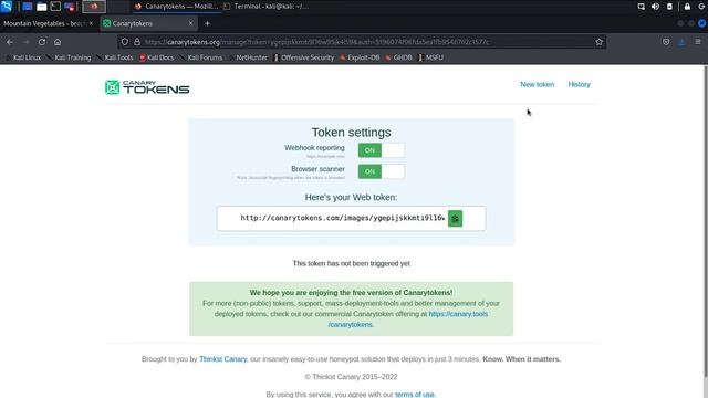 5.1.2. Client Fingerprinting