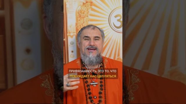 Привязанность или Любовь