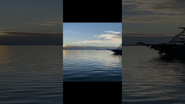 1000008621.mp4