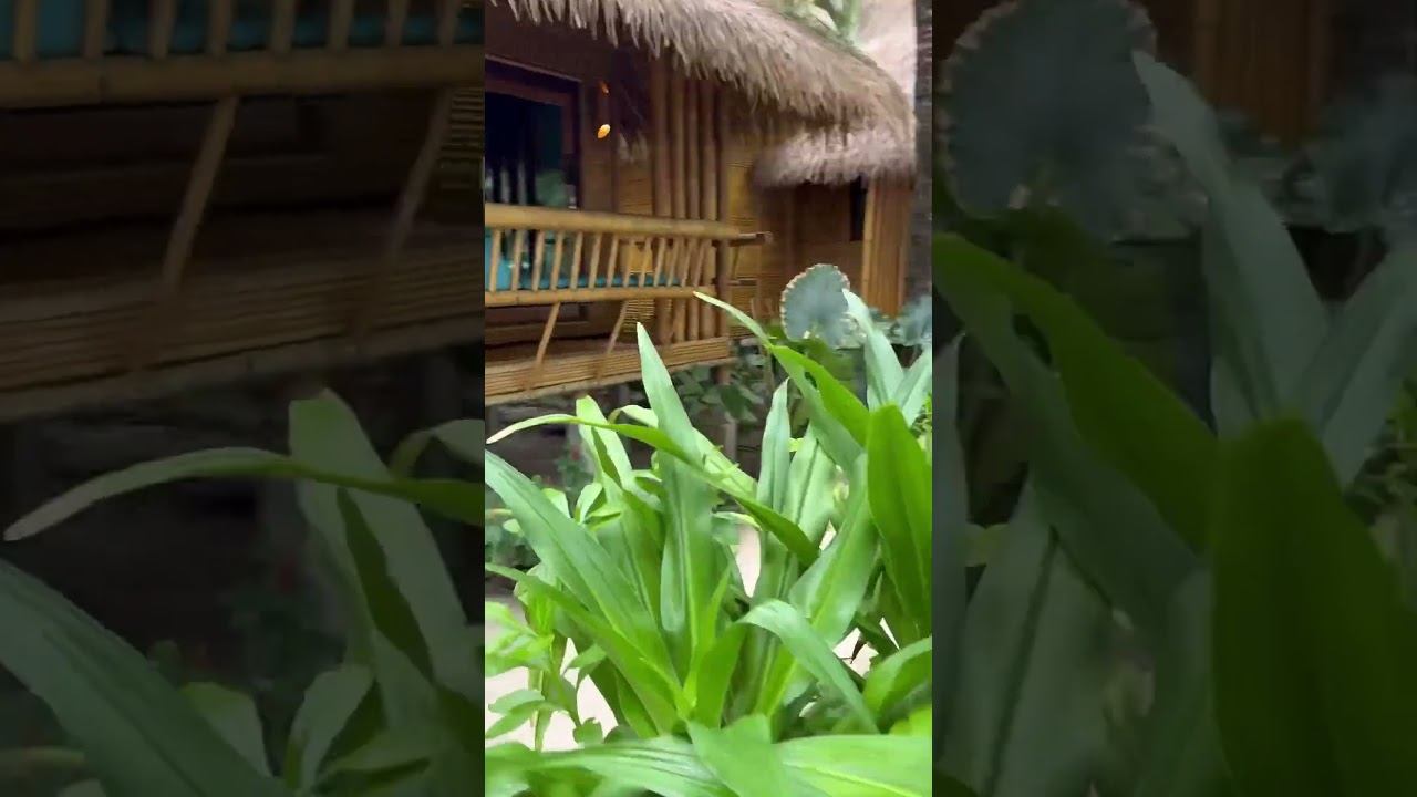 Бамбуковый отельчик на острове Пи Пи #тайланд #phiphiislands