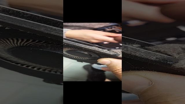 1000028646.mp4