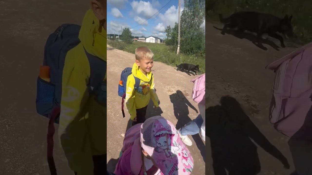 В поход с детьми и собаками❤️#бугульма #овчарки #дети #немецкаяовчарка #немцы #лето #дети #семья #❤️
