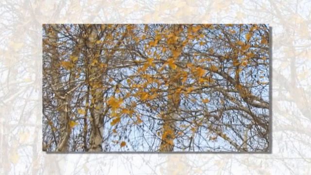 Ноябрь
#сезонконтентаRUTUBE