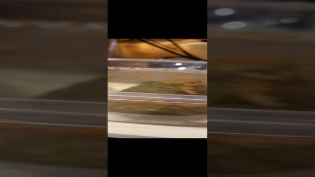VID_20241207_153722.mp4