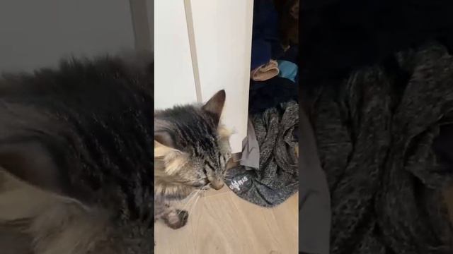 Немножко похулиганили