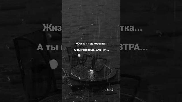 Видео 1