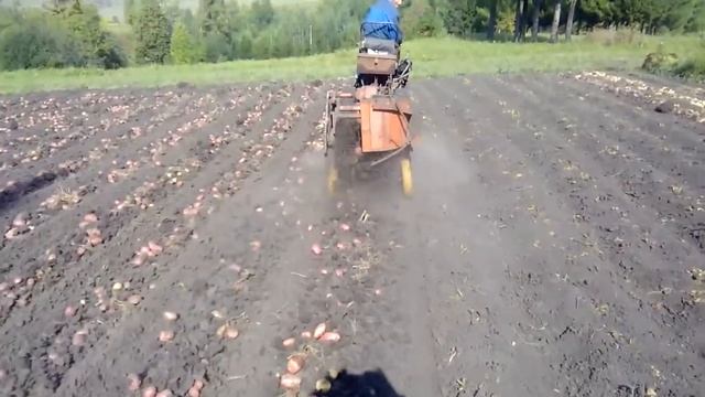22 сентября 2018 г.копалка самодельная (1).mp4