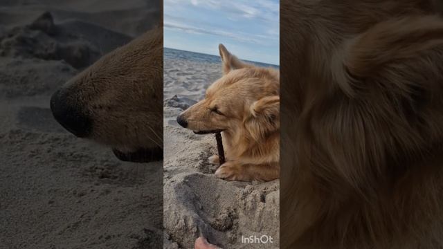 Мои самые замечательные мальчишки