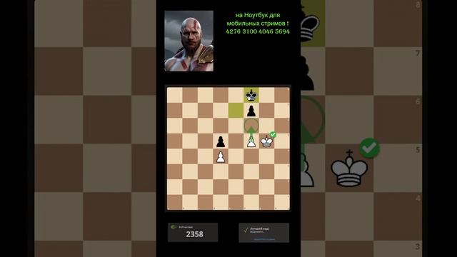 Шахматы. Шахерезада