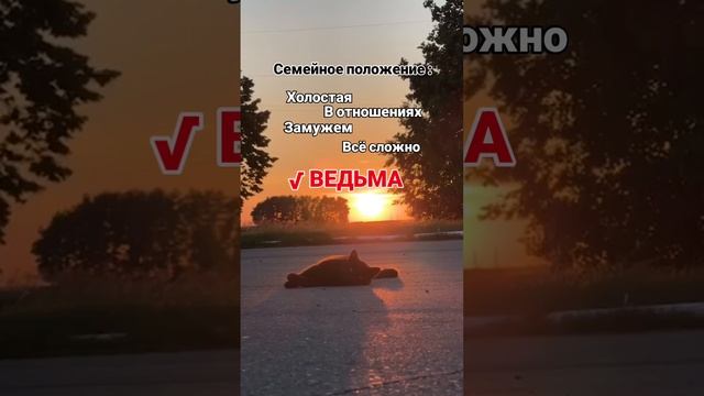 семейное положение