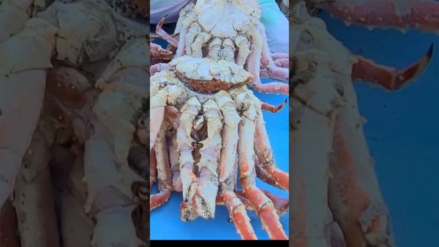 Камчатский краб💗 Сахалин и всё самое вкусное и класное🤟