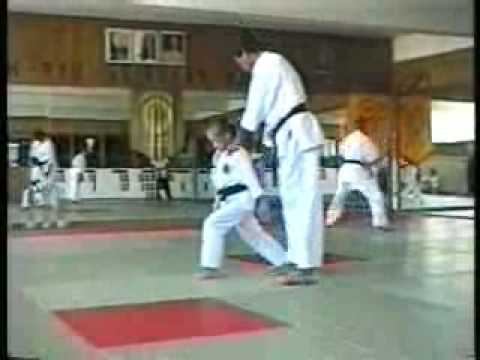 Aleksandra - Seibukan Karate, Jinbukan Kobudo, Shudokan Aikido RUSSIA