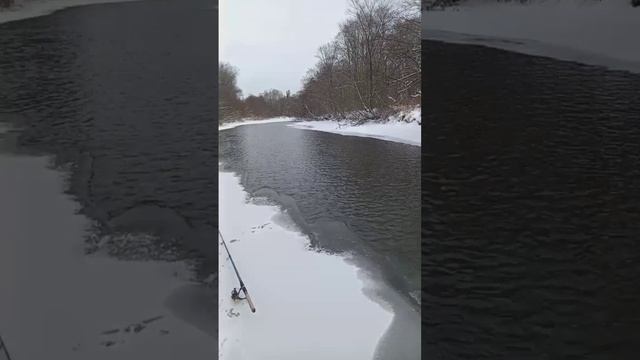 Закрытие жидкой воды ,Хариус и Ленок