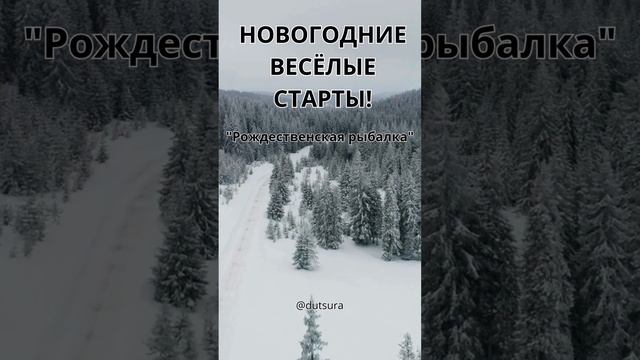 НОВОГОДНИЕ ВЕСЕЛЫЕ СТАРТЫ!