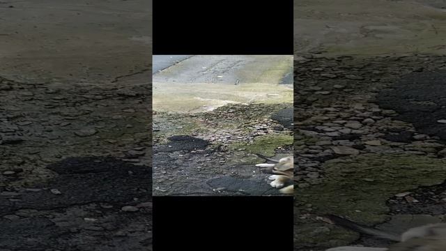 04.10.2022
#сезонконтентаRUTUBE