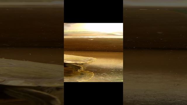 VID_20241207_171002.mp4
