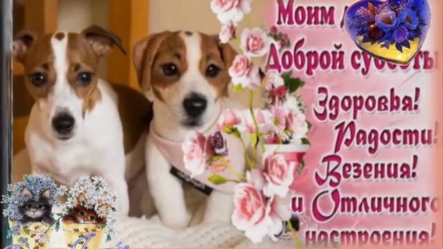 Субботний выходной!