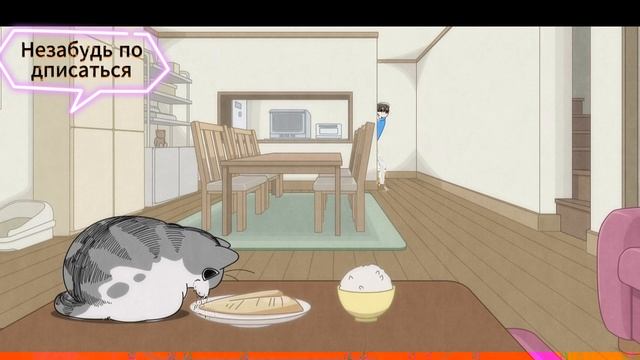 ночь с котиком