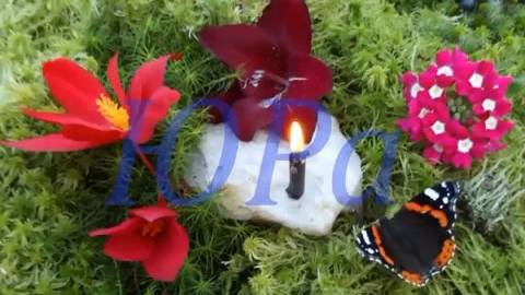 Фото клип пра дары Природы