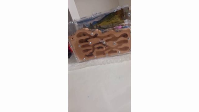 мирови