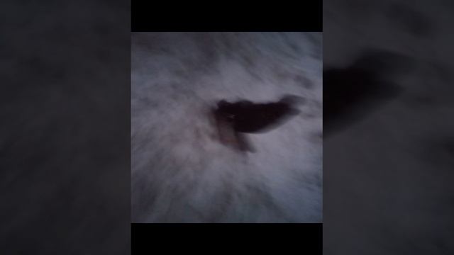 начали заниматься дрифтом вторая часть дрифт на снегокате