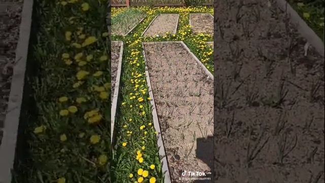 8659773d-58e3-4c9e-968a-a3fa0ab67bfc-watermark (1).mp4