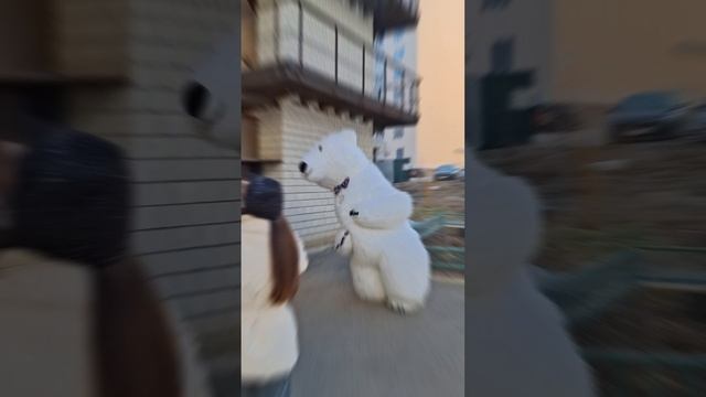 1000070780.mp4
