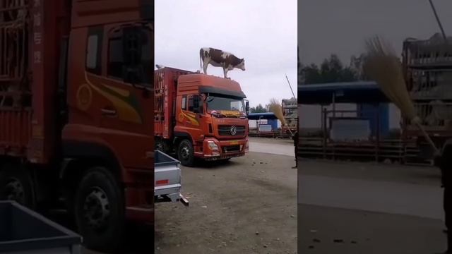 Загадочное происшествие.mp4