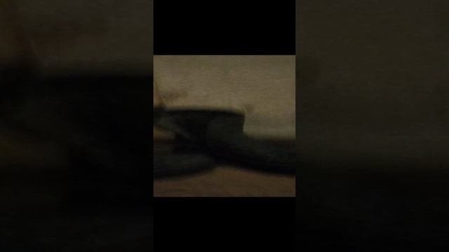 серия номер 3 по футболу