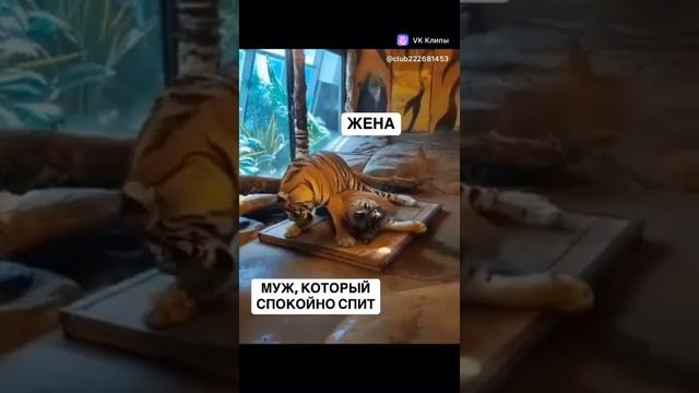 Спокойной ночи, страна!