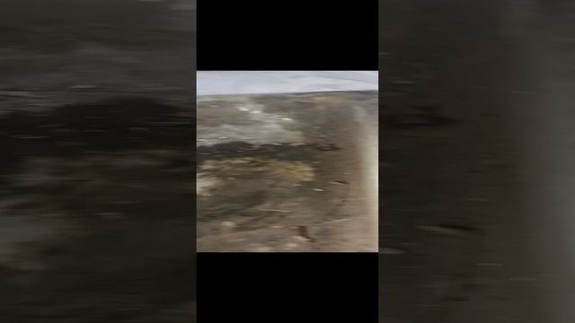 1000876211.mp4